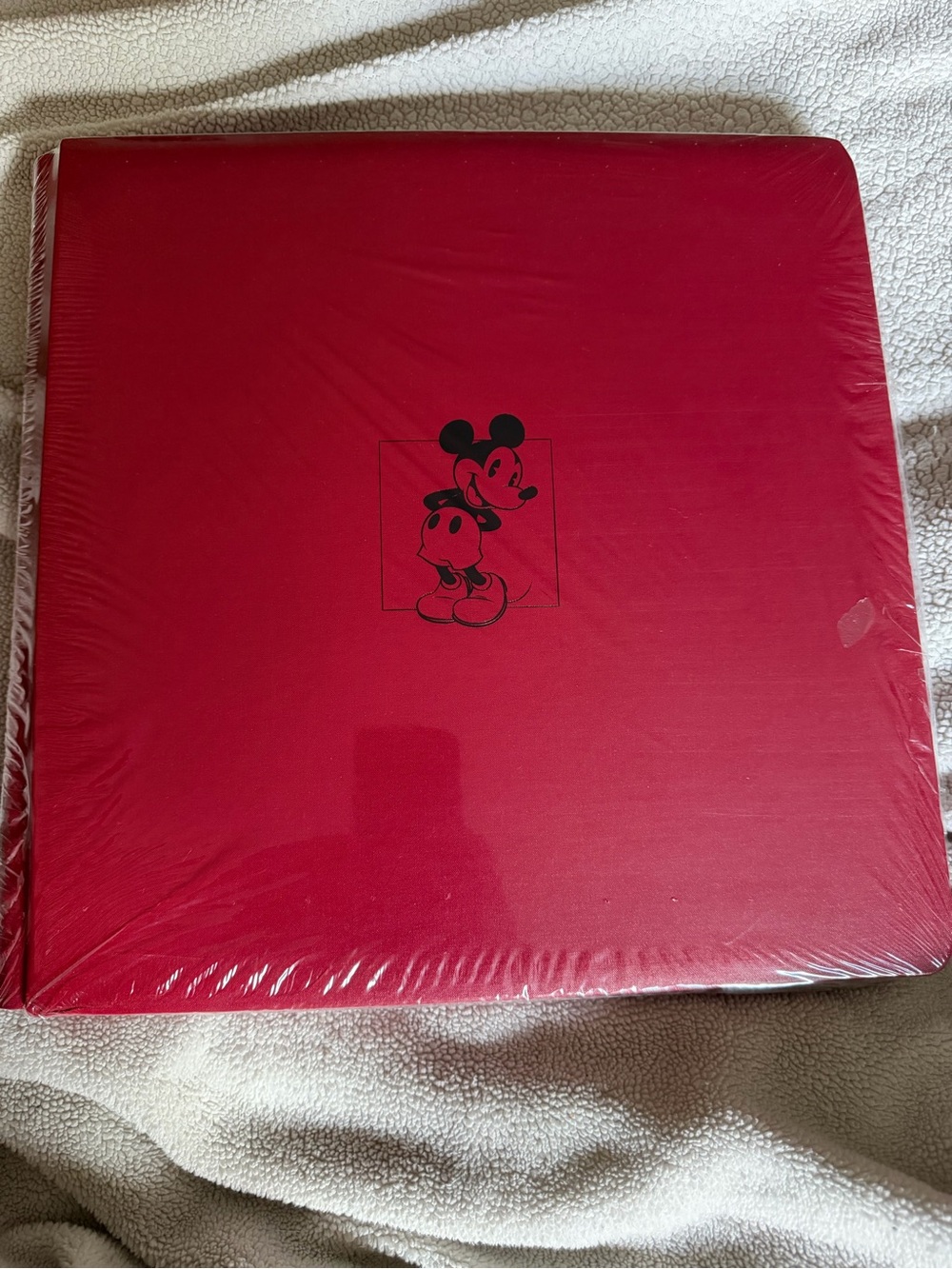Creative Memories Mickey scrapbook